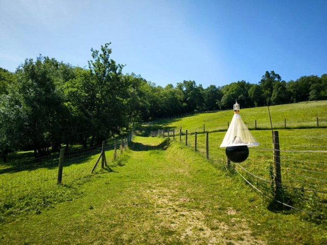 Photos 14 - Prestige - Ensemble immobilier de caractère dans un cadre bucolique