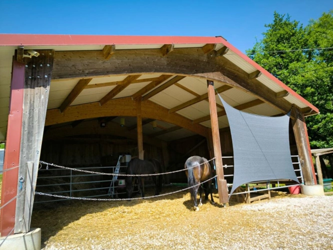 Photos 15 - Prestige - Ensemble immobilier de caractère dans un cadre bucolique
