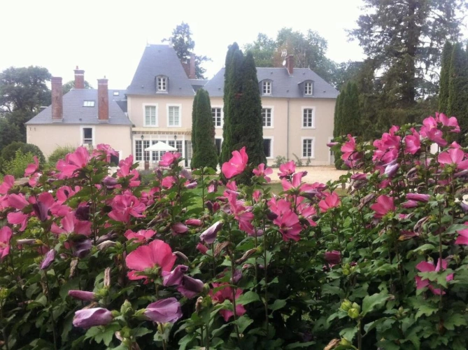 Photos 2 - Prestige - CHATEAU HISTORIQUE 750 M² ECOLABEL ET SON DOMAINE D'EXCEPTION , CHER