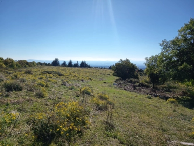 Photos 4 - Rurale - Domaine agricole sur 50 hectares en pleine nature