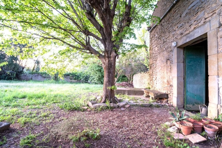 Photos 1 - Prestige - Maison Vigneronne avec jardin