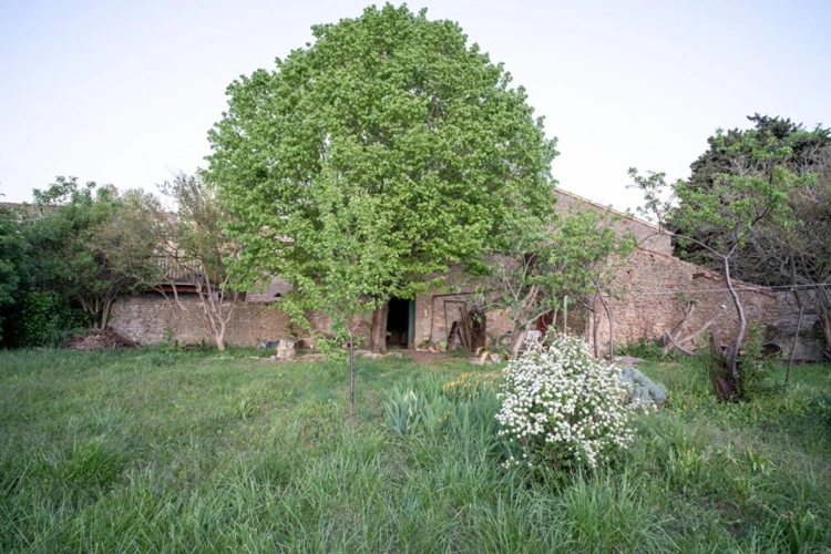 Photos 2 - Prestige - Maison Vigneronne avec jardin