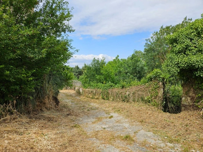 Photos 2 - Rurale - Petit domaine sur 1.3 ha à Pennautier