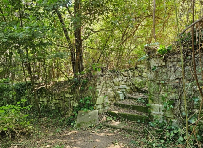 Photos 8 - Rurale - Petit domaine sur 1.3 ha à Pennautier