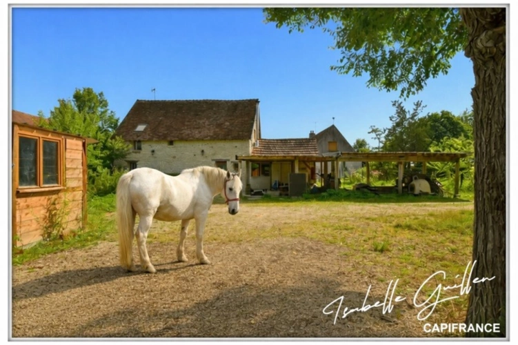 Photos 1 - Prestige - Propriéte à vendre : 2 maisons et 4.5 hectares TOUCHAY (18)