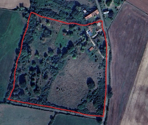 Photos 2 - Prestige - Propriéte à vendre : 2 maisons et 4.5 hectares TOUCHAY (18)