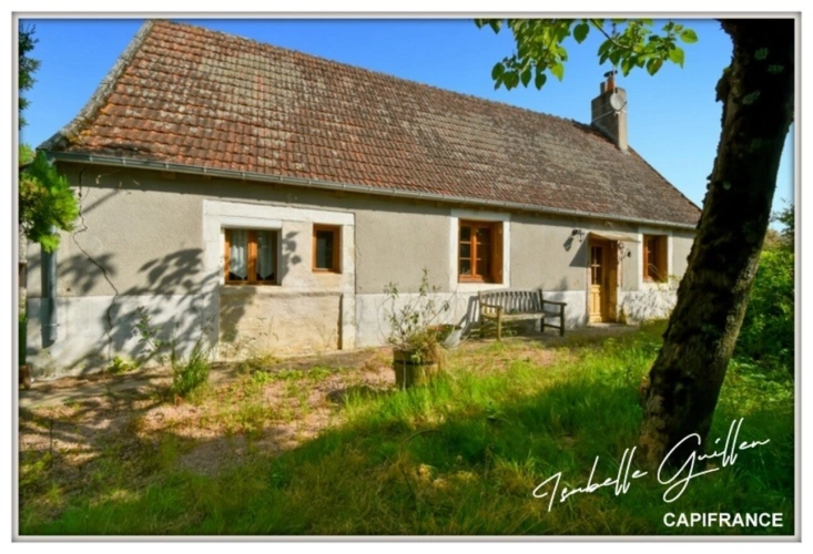 Photos 4 - Prestige - Propriéte à vendre : 2 maisons et 4.5 hectares TOUCHAY (18)