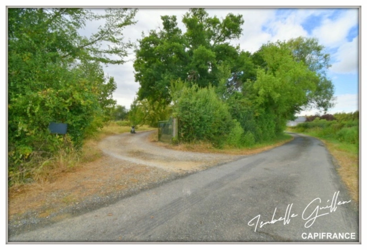 Photos 6 - Prestige - Propriéte à vendre : 2 maisons et 4.5 hectares TOUCHAY (18)