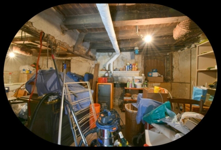 Photos 28 - Prestige - Propriéte à vendre : 2 maisons et 4.5 hectares TOUCHAY (18)