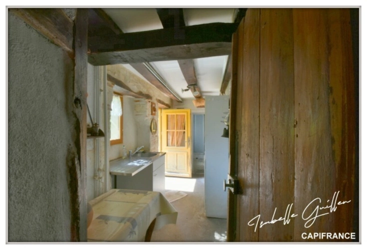 Photos 33 - Prestige - Propriéte à vendre : 2 maisons et 4.5 hectares TOUCHAY (18)
