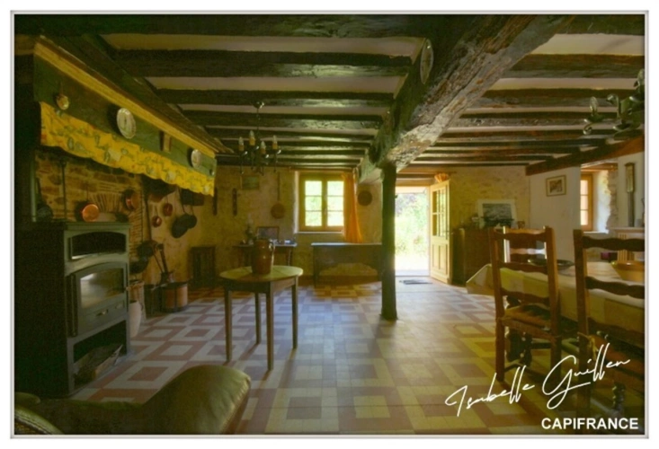 Photos 34 - Prestige - Propriéte à vendre : 2 maisons et 4.5 hectares TOUCHAY (18)