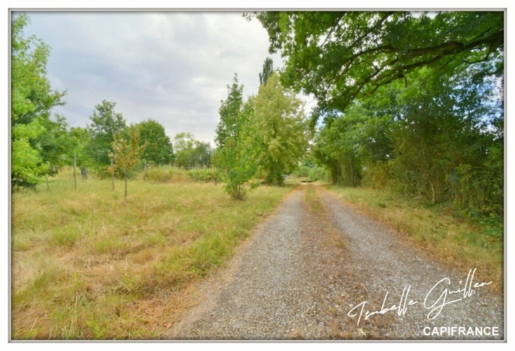 Photos 35 - Prestige - Propriéte à vendre : 2 maisons et 4.5 hectares TOUCHAY (18)