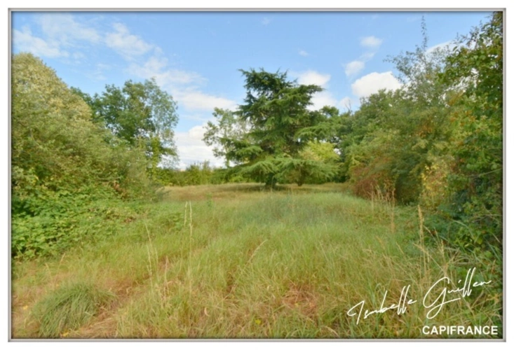 Photos 37 - Prestige - Propriéte à vendre : 2 maisons et 4.5 hectares TOUCHAY (18)