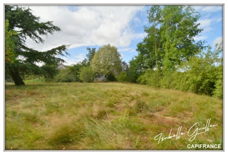 Photos 38 - Prestige - Propriéte à vendre : 2 maisons et 4.5 hectares TOUCHAY (18)