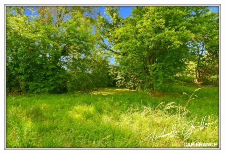 Photos 58 - Prestige - Propriéte à vendre : 2 maisons et 4.5 hectares TOUCHAY (18)