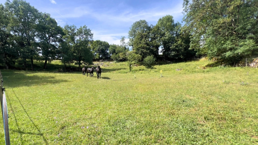 Photos 16 - Equestrian - Property with multiple activity potential - Lot (46)