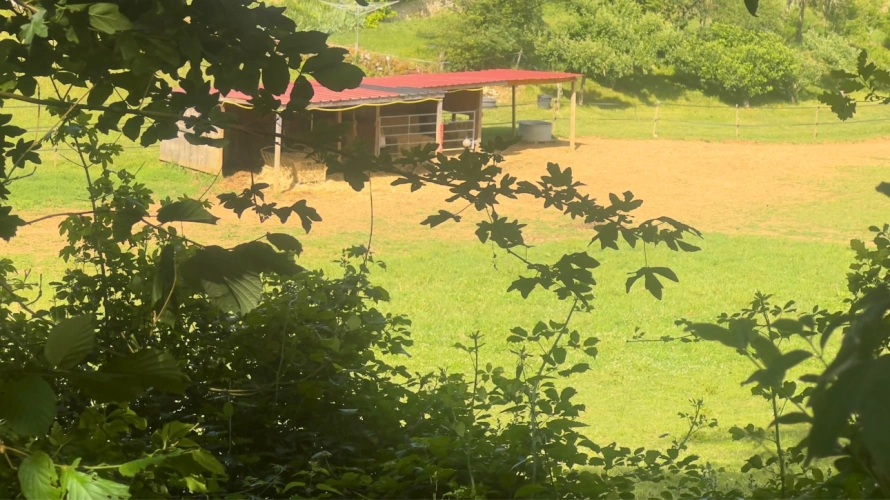 Photos 17 - Equestrian - Property with multiple activity potential - Lot (46)