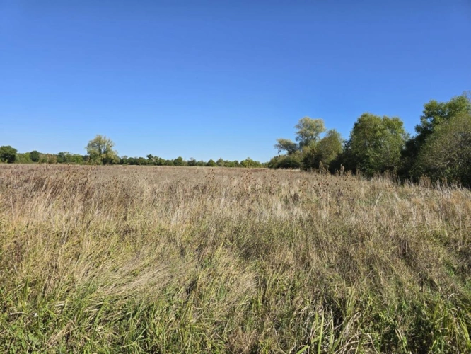 Photos 5 - Agricole - Terres agricoles à vendre dans le Cher   82 ha libres en exc