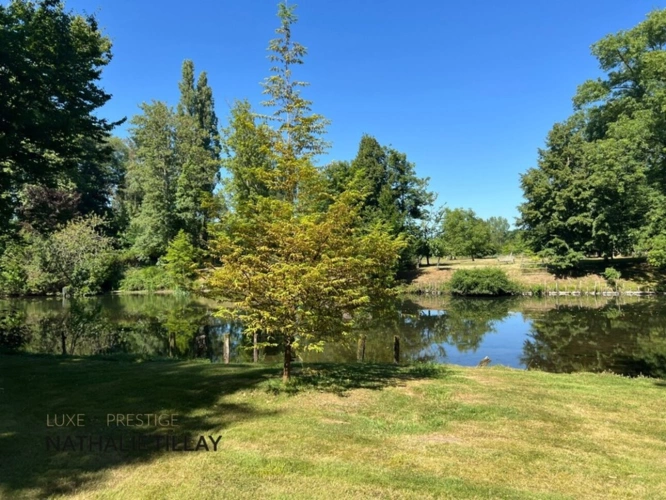 Photos 4 - Prestige - Propriété, à vendre OLIVET proche Orléans , EXCEPTIONNELLE,  1h du péage Paris St Arnoult, piscine , parc et  Bord du Loiret