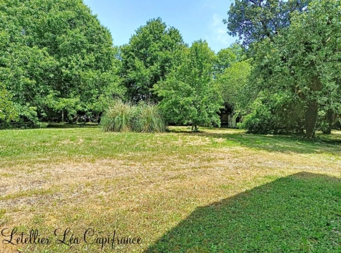 Photos 4 - Rurale - Propriété à vendre 5 pièces