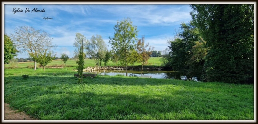 Photos 2 - Équestre - Propriété à vendre entre BIZIAT et PONT DE VEYLE (01) 16,5 Ha, vue, maison 145 m², ferme à rénover 170 m², pigeonnier, hangar, équestre