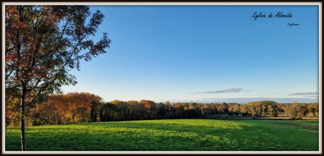 Photos 4 - Équestre - Propriété à vendre entre BIZIAT et PONT DE VEYLE (01) 16,5 Ha, vue, maison 145 m², ferme à rénover 170 m², pigeonnier, hangar, équestre