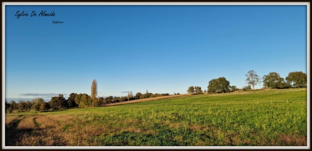Photos 12 - Équestre - Propriété à vendre entre BIZIAT et PONT DE VEYLE (01) 16,5 Ha, vue, maison 145 m², ferme à rénover 170 m², pigeonnier, hangar, équestre