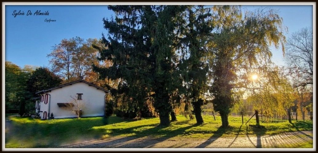 Photos 15 - Équestre - Propriété à vendre entre BIZIAT et PONT DE VEYLE (01) 16,5 Ha, vue, maison 145 m², ferme à rénover 170 m², pigeonnier, hangar, équestre