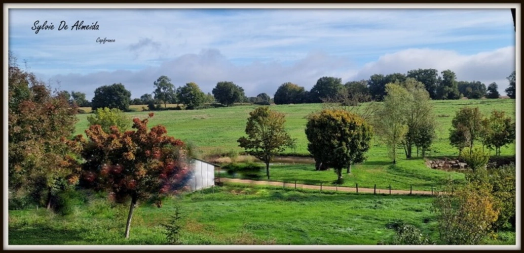 Photos 18 - Équestre - Propriété à vendre entre BIZIAT et PONT DE VEYLE (01) 16,5 Ha, vue, maison 145 m², ferme à rénover 170 m², pigeonnier, hangar, équestre