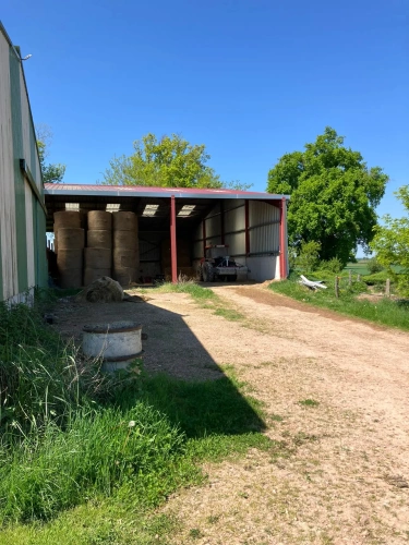 Photos 4 - Équestre - Propriété équestre sur plus de 40 hectares