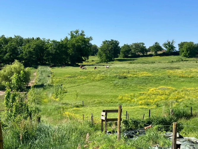 Photos 8 - Équestre - Propriété équestre sur plus de 40 hectares