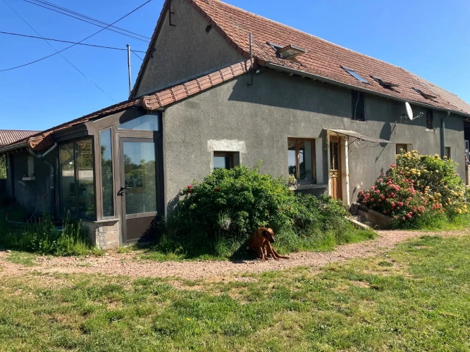 Photos 9 - Équestre - Propriété équestre sur plus de 40 hectares