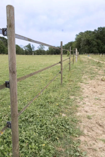 Photos 5 - Équestre - Propriété équestre multipotentiel au coeur de la Brie