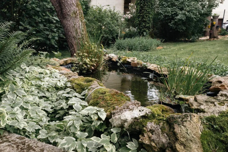 Photos 6 - Équestre - Propriété équestre multipotentiel au coeur de la Brie
