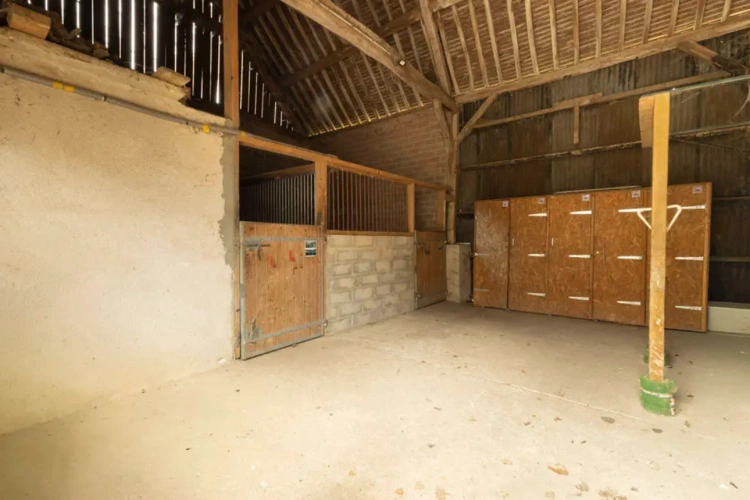 Photos 7 - Équestre - Propriété équestre multipotentiel au coeur de la Brie