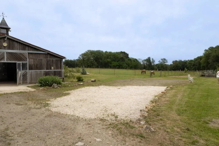 Photos 2 - Équestre - Propriété équestre multipotentiel au coeur de la Brie