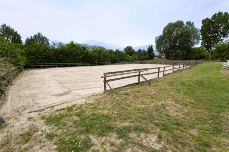 Photos 3 - Équestre - Propriété équestre multipotentiel au coeur de la Brie