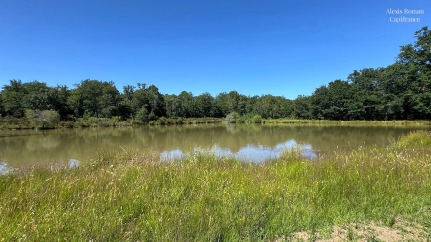 Photos 25 - Rurale - Domaine de 28 hectares avec étang privé, maison, 2 gîtes et plus de 400 m² de dépendances