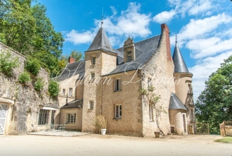 Photos 2 - Prestige - Propriete à vendre 18 pièces proche de TOURS (37)
