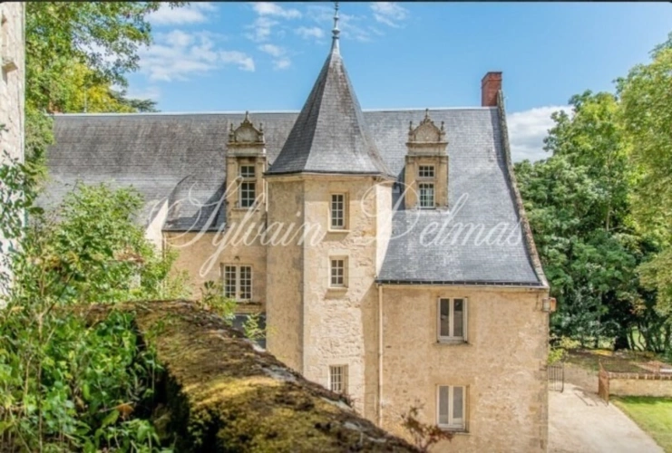 Photos 3 - Prestige - Propriete à vendre 18 pièces proche de TOURS (37)