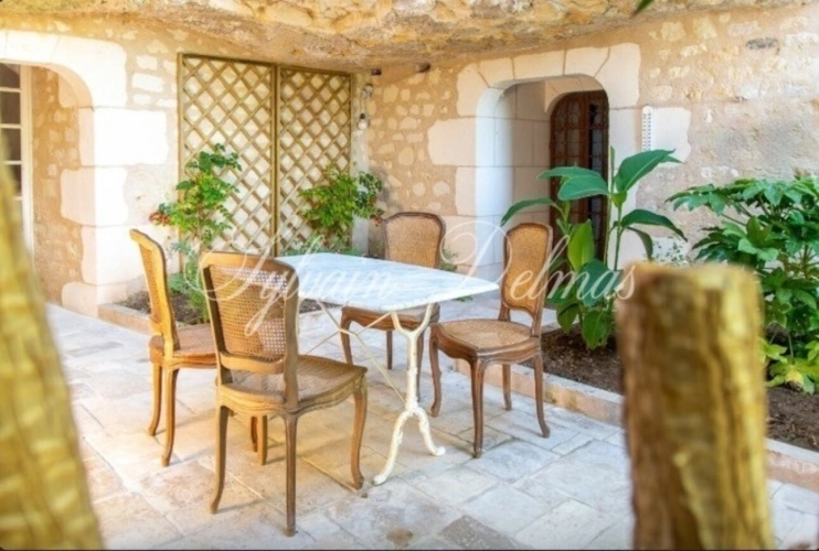 Photos 6 - Prestige - Propriete à vendre 18 pièces proche de TOURS (37)