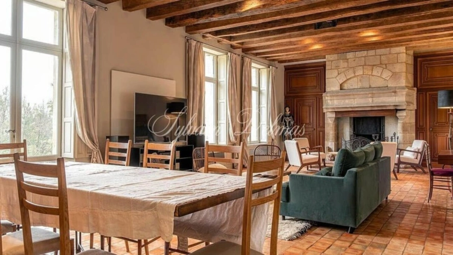 Photos 8 - Prestige - Propriete à vendre 18 pièces proche de TOURS (37)