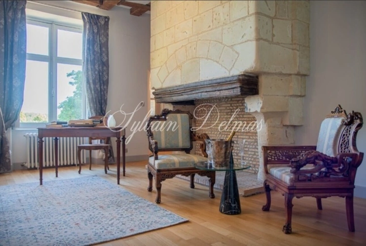Photos 11 - Prestige - Propriete à vendre 18 pièces proche de TOURS (37)