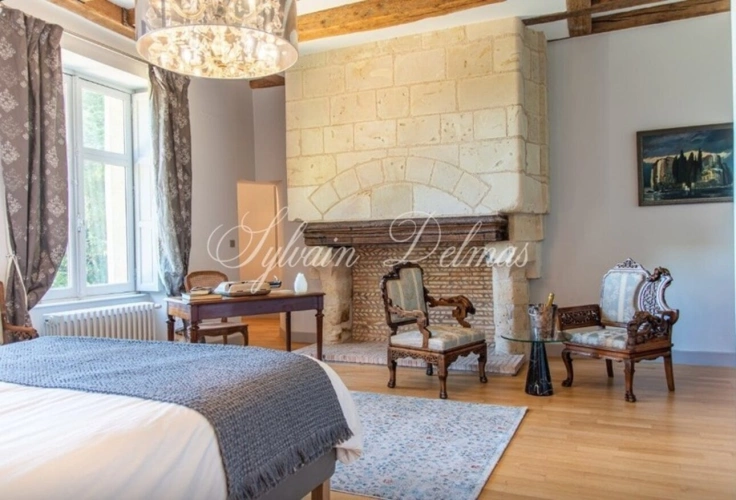 Photos 13 - Prestige - Propriete à vendre 18 pièces proche de TOURS (37)