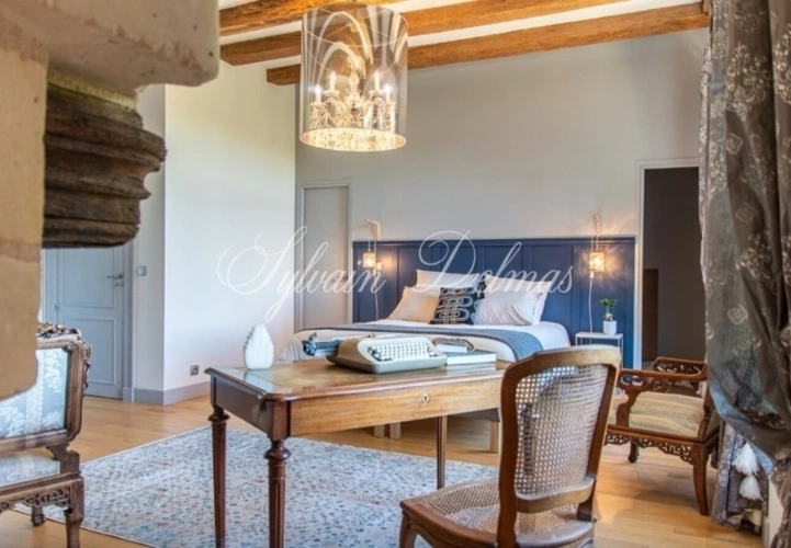 Photos 14 - Prestige - Propriete à vendre 18 pièces proche de TOURS (37)