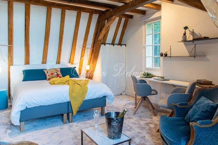 Photos 15 - Prestige - Propriete à vendre 18 pièces proche de TOURS (37)