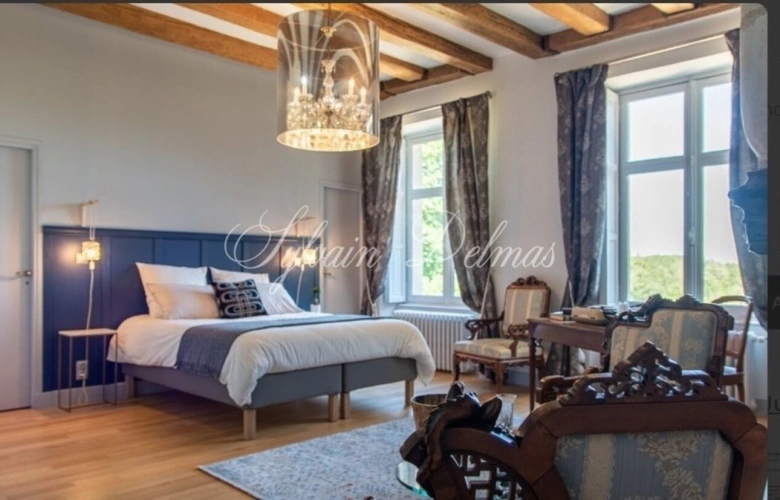 Photos 18 - Prestige - Propriete à vendre 18 pièces proche de TOURS (37)