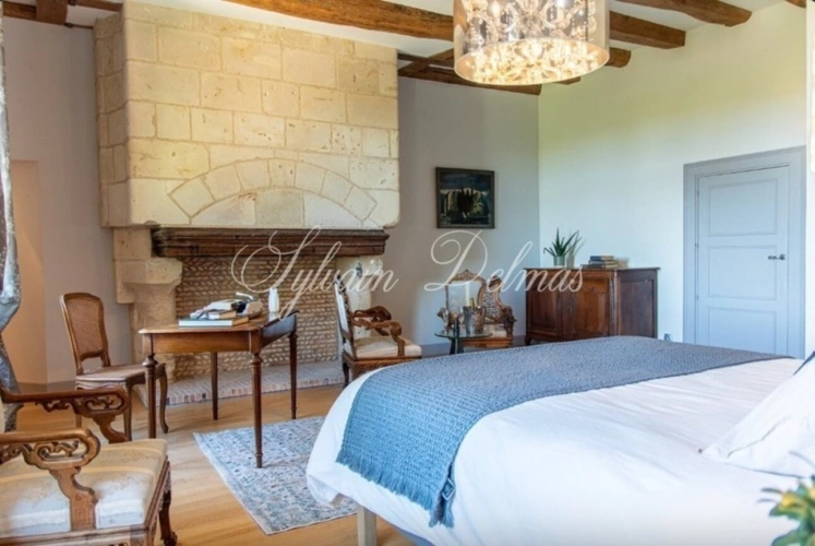 Photos 19 - Prestige - Propriete à vendre 18 pièces proche de TOURS (37)