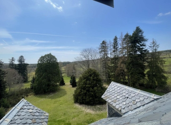 Photos 4 - Prestige - Château - Propriété de Caractere -
