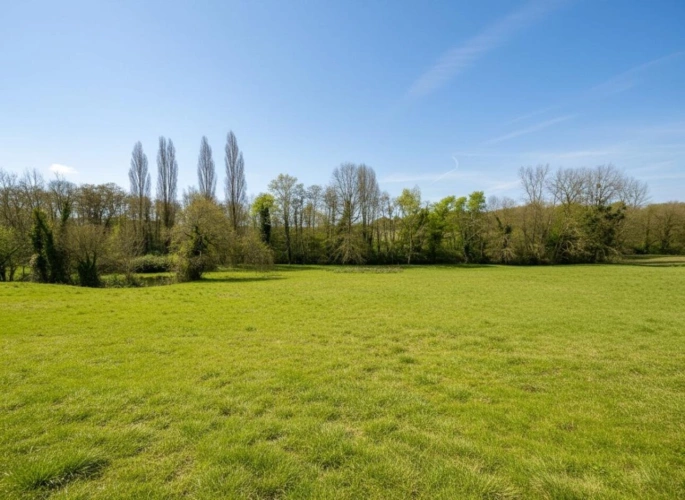Photos 7 - Rurale - Propriété à vendre à Pellegrue